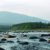 Siberia river stubs