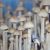 Fungi by location