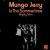 Shaggy (musician) songs