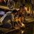 Observances set by the Thai lunar calendar