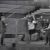 1956 Belgian television series debuts