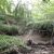 Parks in Camden County, New Jersey