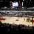 Maples Pavilion