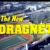 Dragnet