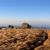 Appalachian balds