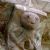Sheela na gigs