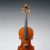 Violino piccolo
