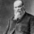 Nikolai Zhukovsky