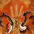 Fiction set in the Stone Age
