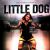 Little Dog