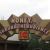 Amusement rides introduced in 1994