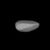 Astronomical objects discovered in 1907