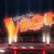 The Voice of Vietnam