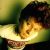 J. G. Thirlwell