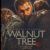 Walnut Tree