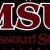 Missouri State Bears basketball seasons