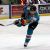 Elite Ice Hockey League