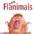 More Flanimals