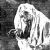 1931 television series debuts