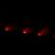 Astronomical objects discovered in 1993