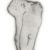 1995 in paleontology