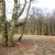Ashridge