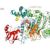 Enzyme catalysis