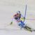 Swiss male alpine skiers