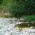 Tributaries of the Belaya (Kama)