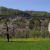 Hauenstein Railway