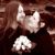 Erin Haugen (married Samoth)