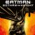 Batman novels