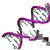 Genetically modified organism