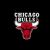 Chicago Bulls players