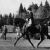 Dressage riders from Denmark