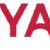 Video surveillance companies