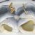 Rollmops
