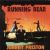Running Bear