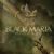 The Black Maria albums