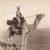 Camel cavalry