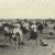 Second Italo-Senussi War