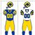 1995 NFL season by team