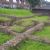 Roman villas in Gloucestershire