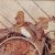 People from the Achaemenid Empire