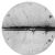Positron