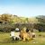 Shaun the Sheep