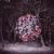 Synth-pop albums by Danish artists