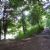 Ruxley Gravel Pits