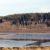 Grays Harbor National Wildlife Refuge