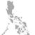 Mindanao pygmy fruit bat